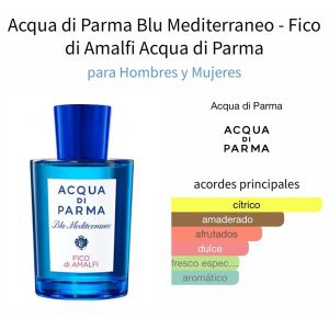 Blu Mediterraneo Fico di Amalfi - Acqua di Parma 100ml