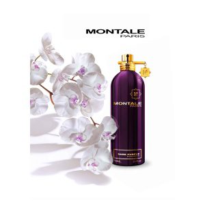 Dark Purple - Montale